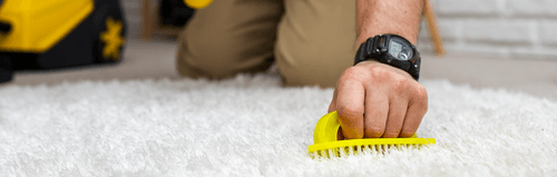 Windows and hard-to-reach areas cleaning in Oakville